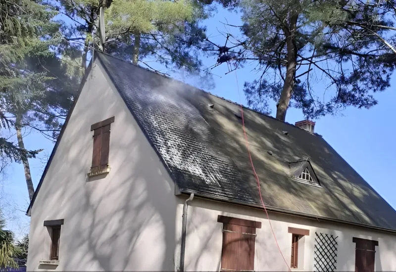 Alextrem Drones Nettoyage De Toiture Saumur Demoussage